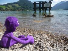 Am Schliersee.
