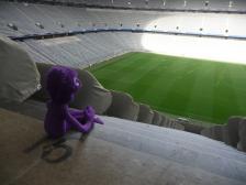 Von hier hat man schon einen guten Blick. Aber warum sind sie Sitze so riesig?