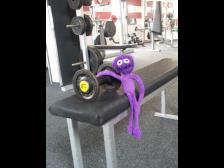 Hanteltraining