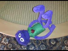 Das Herz auf dem rechten Fleck