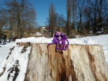 Knut steht ja mehr auf Schneeballschlacht als auf händchenhalten...