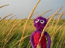 Minnie geniesst die späte August-Sonne.