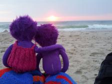 Sonnenuntergang. Sah in Wirklichkeit etwas anders aus.