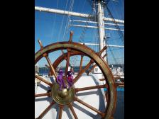 Alles klar, Leinen los!