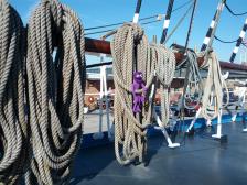 Der Sturm kann kommen.