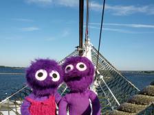 Vielleicht sind wir Seeknuts?