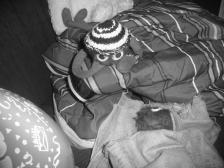 ...und mal ohne Farbe