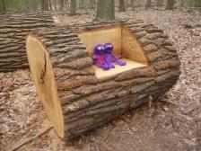 Ein kleiner Rastplatz im Wald. Und wo sitz ich?