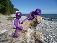 Was siehst du, Minnie?