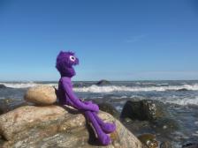 Der alte Knut und das Meer.