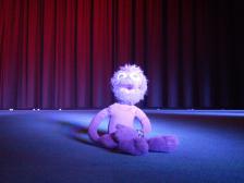 Knut liebt es im (lila) Rampenlicht zu stehen.