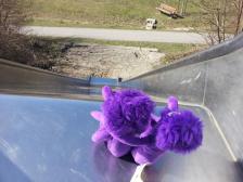 Ähmm... nicht nach unten schauen