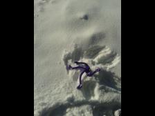 Kurve nicht gekriegt