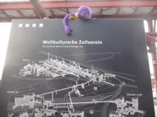 Knut will alles sehen.