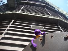 Der erste halbe Meter ist geschafft. Knut ist noch gut drauf.