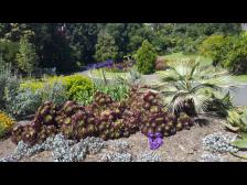 Bleibt' in der Nähe, okay?