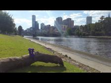 Am Horizont die Wolkenkratzer