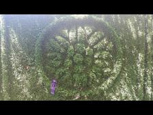 Das Raddetail von der Nähe.