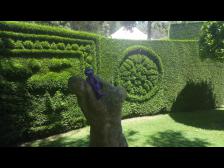 Knutine hat es bequem.