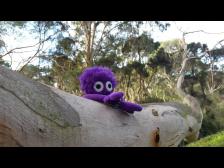 Knut laesst sich baumeln.