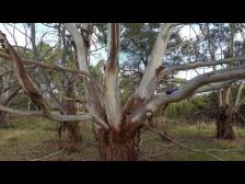 ..An was denkst du gerade, Schatz?..