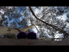 .. oh ja, ich auch .. 