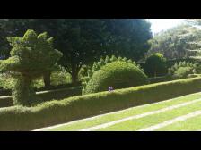 Oh je, eine Seeschlange!