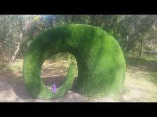 Gartengestaltung fuer zu Hause?