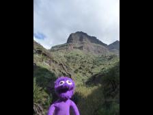 Sieht aus wie eine Fototapete, ist aber echt.