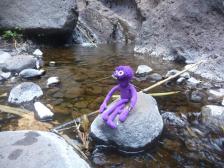 Auf dem Grund der Schlucht flie&szlig;t ein winziger Bach.