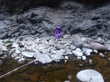 Bei starkem Regen möchte Knut hier nicht sein...