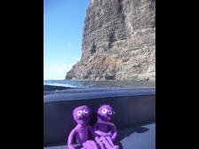 Zurück geht's im Boot. Im Hintergrund "Los Gigantes"