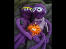 Knut, Minnie, Squidgy