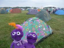 Leider nicht unser Zelt.