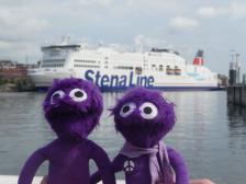 Große Schiffe im Kieler Hafen. Wir fahren ein andermal mit.