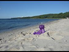 Am Strand von Heikendorf. Heute ausnahmsweise mal gutes Wetter!