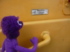 Knut erkundet dann mal das Schiff...