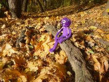 Sonnenlicht! Minnie fällt etwas aus der Rolle...