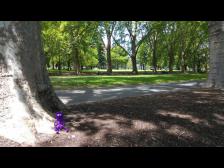 Eine kleine Pause einlegen