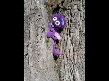 Wie jedes Jahr, beim ersten kräftigen Sonnenstrahl kommt Minnie aus ihrer Höhle... äh Baum, gekrochen?
