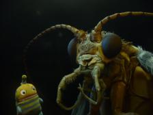 Mini-Om kommt sich heute noch kleiner vor!