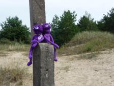 Alle paar Meter gibt es diese praktischen Aussichtstürme.