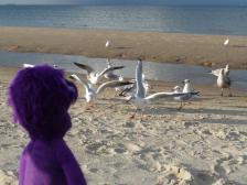 Ich hab Brot für euch!