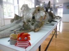 Flamm und Om vor einem Walknochen... im Fischereimuseum Swinemünde.