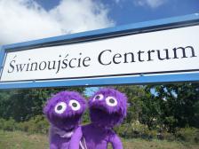 Ob es hier auch Knuts gibt?