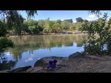 Blick über den See.