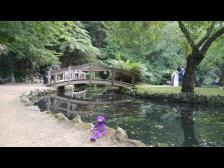 Knut stiehlt der Braut die Show.