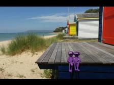 Aber da sind ja schon Menschen im Wasser; wir wollen auch!