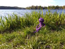 Irgendwann im Sommer