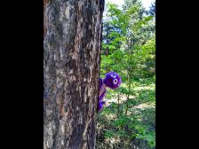 Catch me if you can!